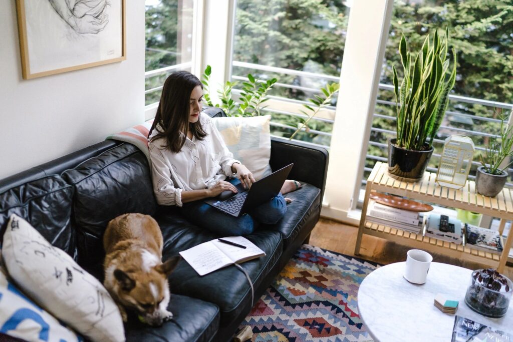 10 Best Degrees for Working From Home